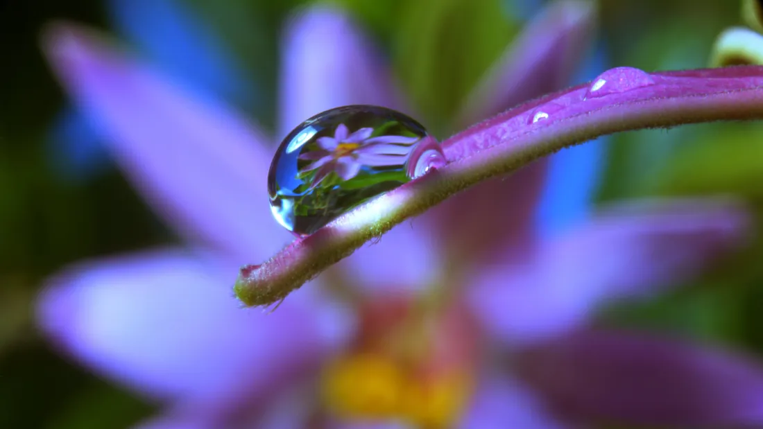Moving Art: Flowers