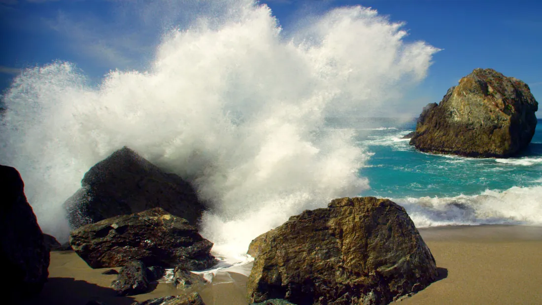 Moving Art: Oceans