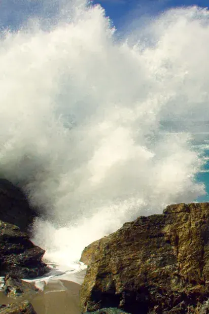 Moving Art: Oceans