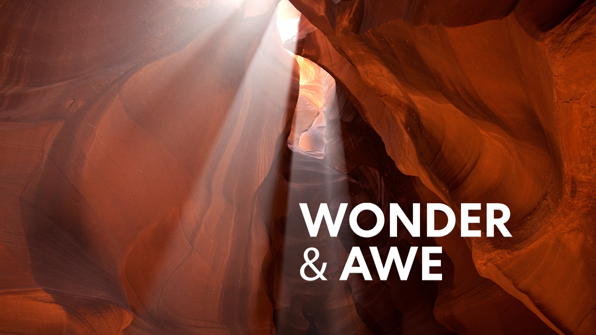 Wonder & Awe